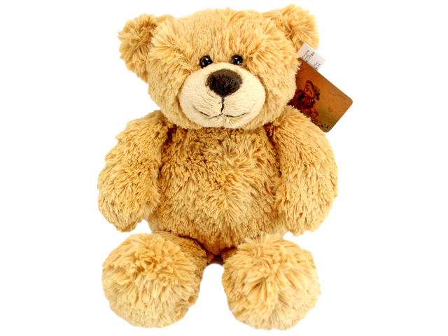 Gift Accessories - Color Rich Money Bank Bear - L116294 Photo