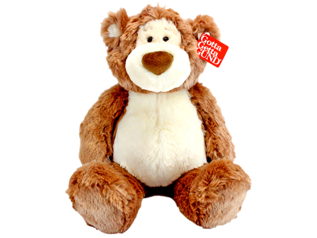 Teddy Bear n Doll - Gotta Getta GUND - L116277 Photo