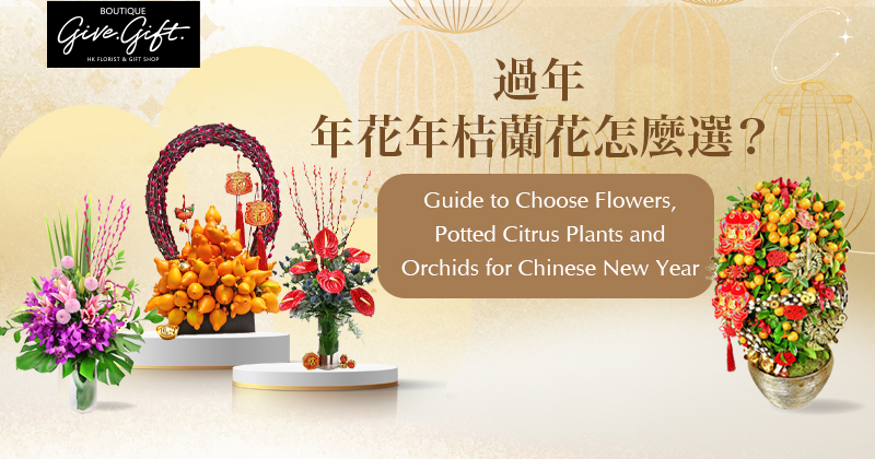 Guide to Choose Flowers , Potted Citrus Plants and Orchids for Chinese New Year